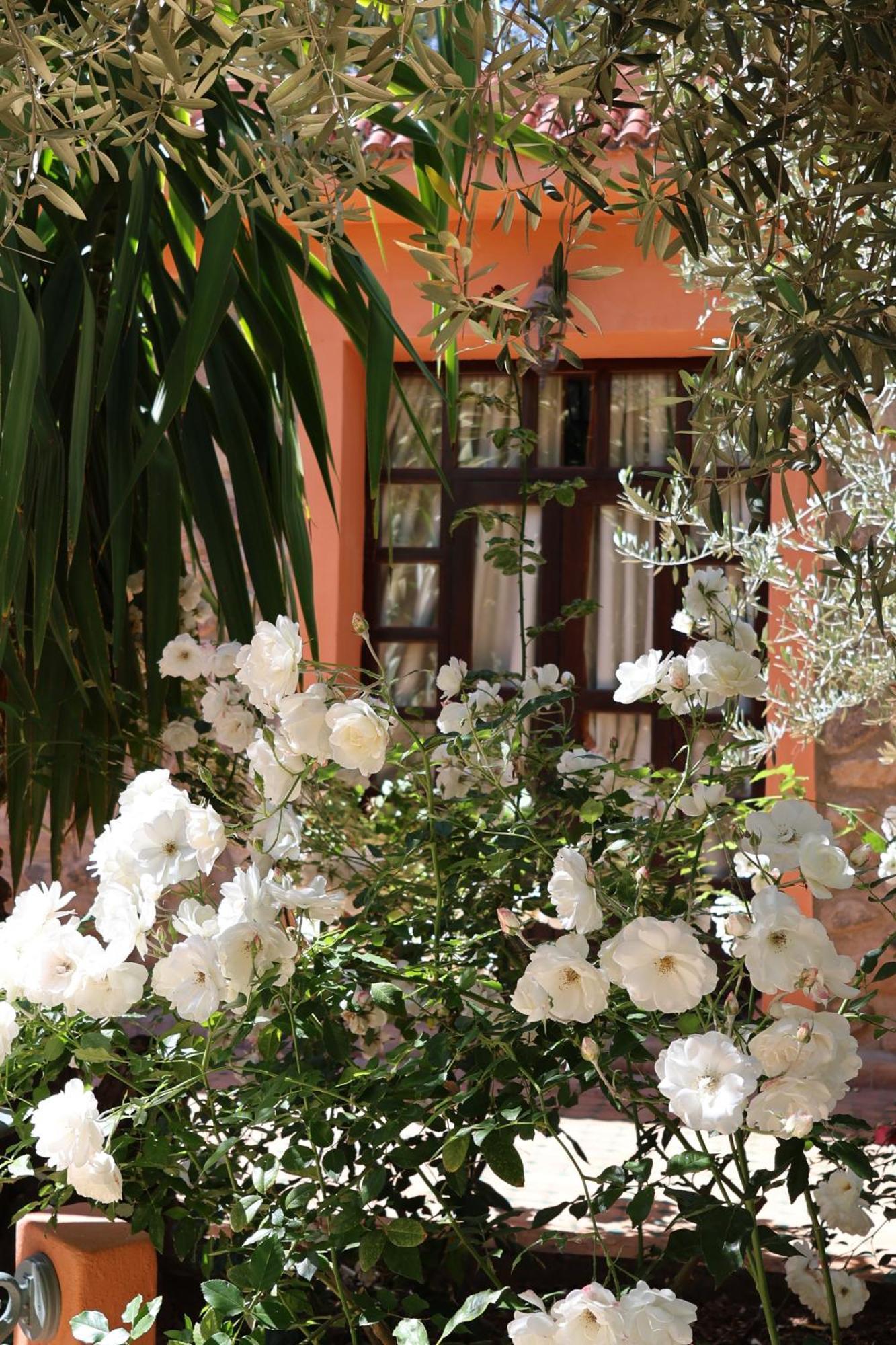 Domaine De La Roseraie Resort Ouirgane Bagian luar foto
