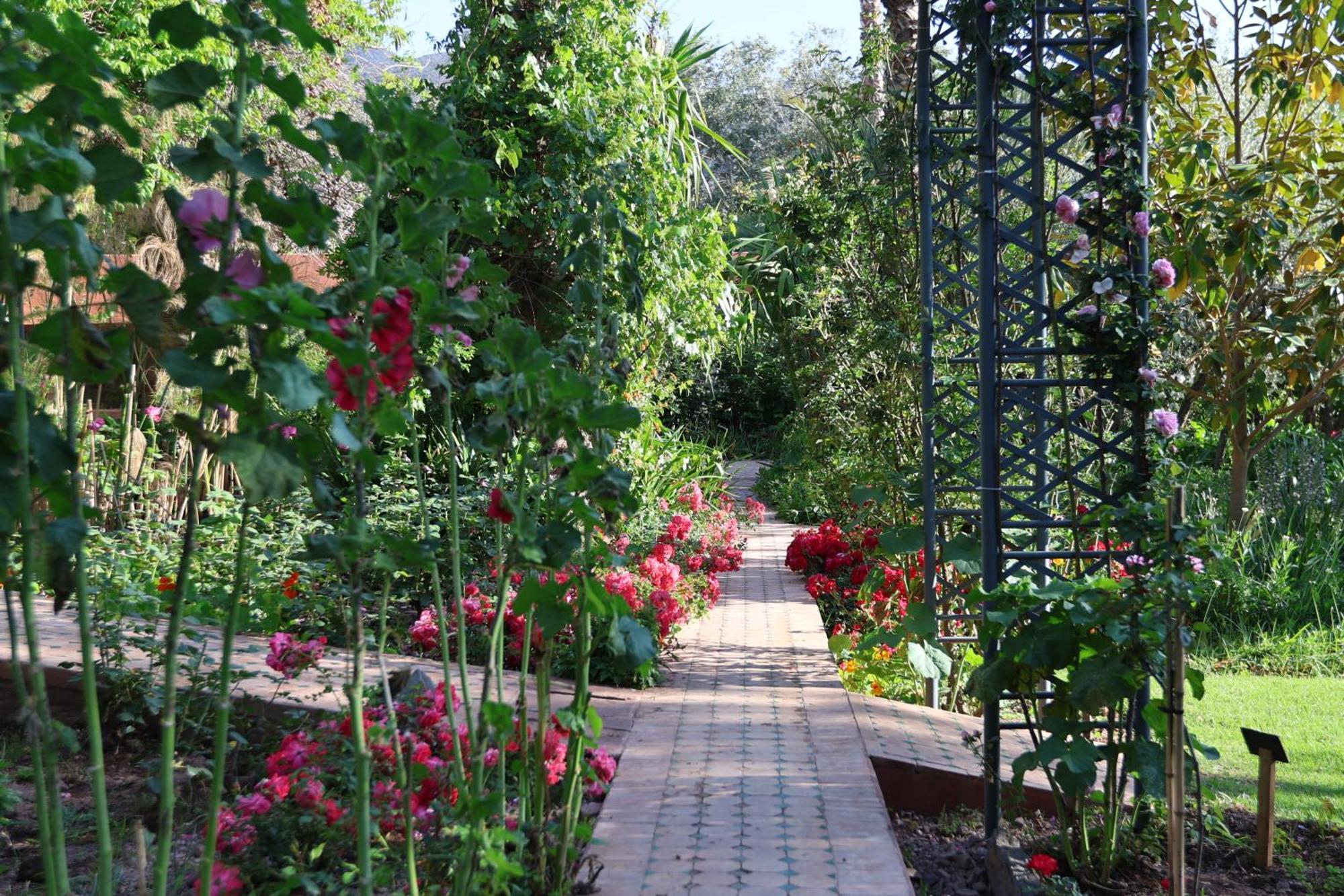 Domaine De La Roseraie Resort Ouirgane Bagian luar foto