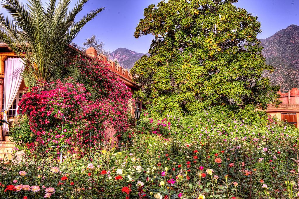 Domaine De La Roseraie Resort Ouirgane Bagian luar foto