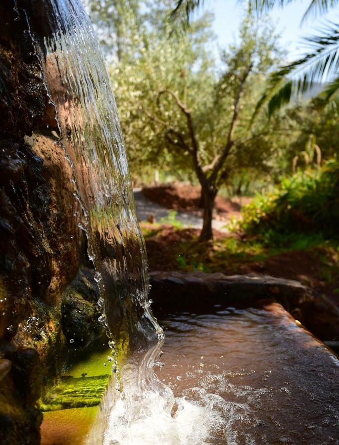 Domaine De La Roseraie Resort Ouirgane Bagian luar foto